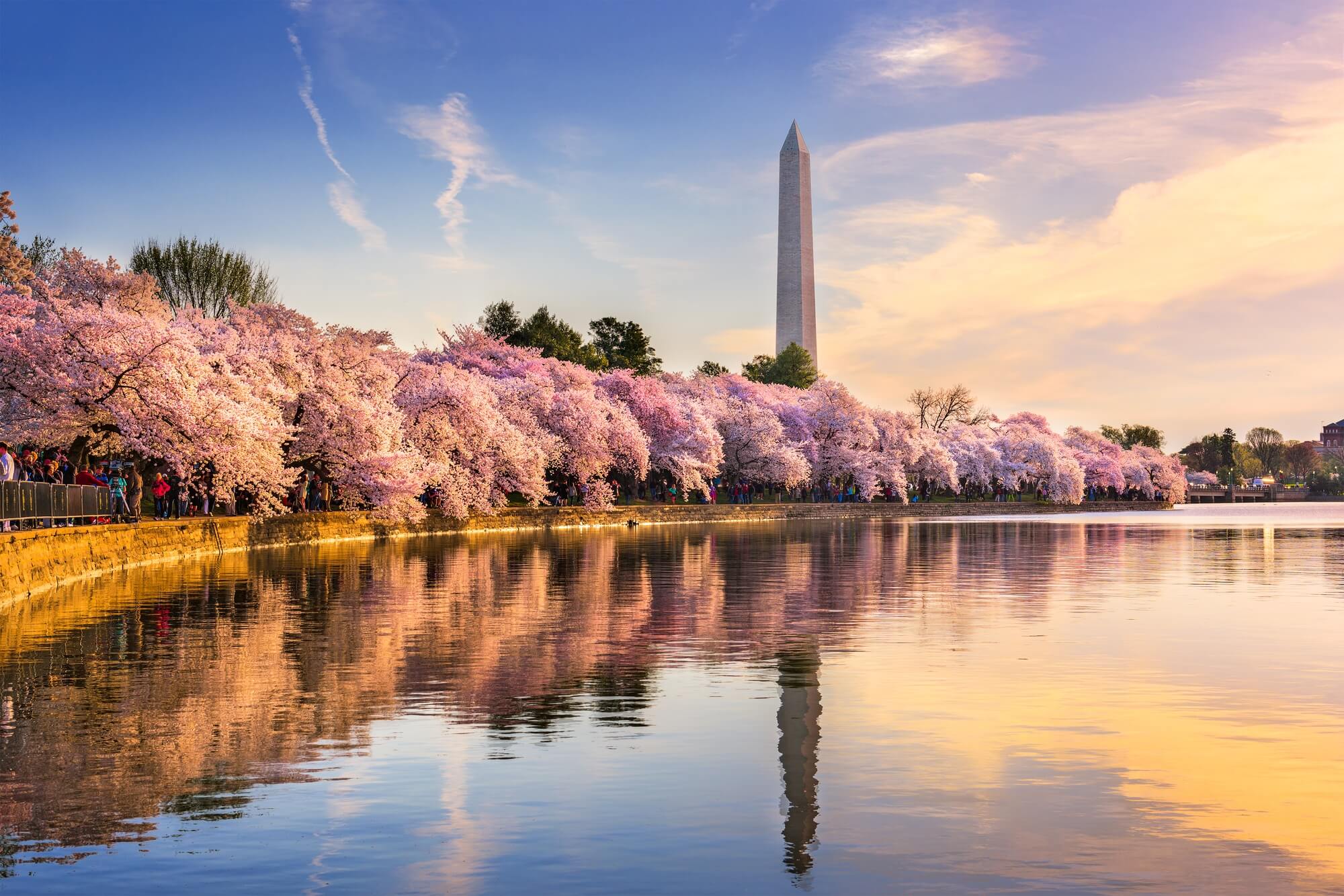 5 Reasons to Join DC’s Tech Scene
