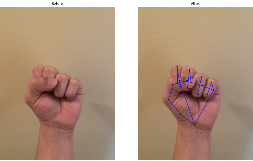 Landmarks-drawn-over- occluded- closed fist