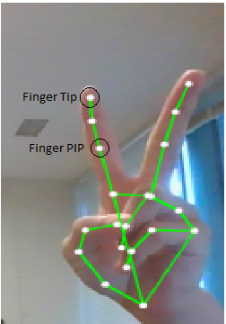Fingertip-and-finger-PIP