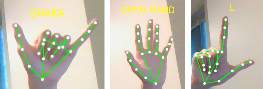 Examples-of-Gesture-Recognition