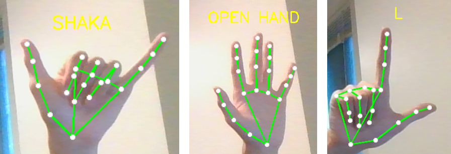 Examples-of-Gesture-Recognition