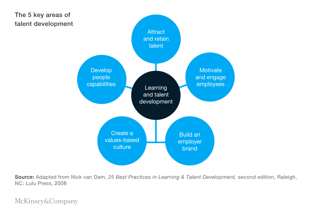 The 5 key areas of talent development framework by McKinsey