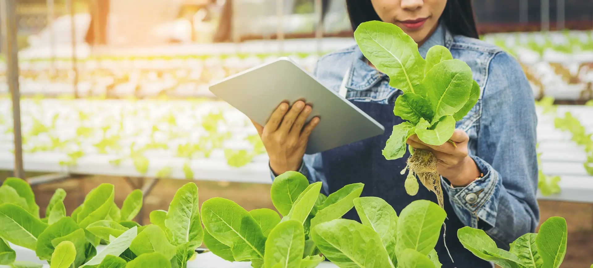 Residential Smart-Garden Brand